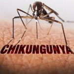 Bộ Y tế đã chính thức lên tiếng bác bỏ thông tin sai lệch về dịch Chikungunya tại Việt Nam