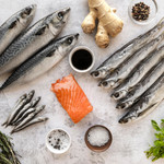 7 loại cá vừa ngon vừa tốt cho trí não