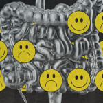 Người “điều phối cảm xúc” bị lãng quên trong… cái bụng?