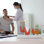 Hệ nội tiết được ví như “người điều phối thầm lặng” của cơ thể (Ảnh minh họa)