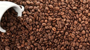 Giá nông sản hôm nay (15/12): Giá cà phê trong nước tiếp tục giảm sâu