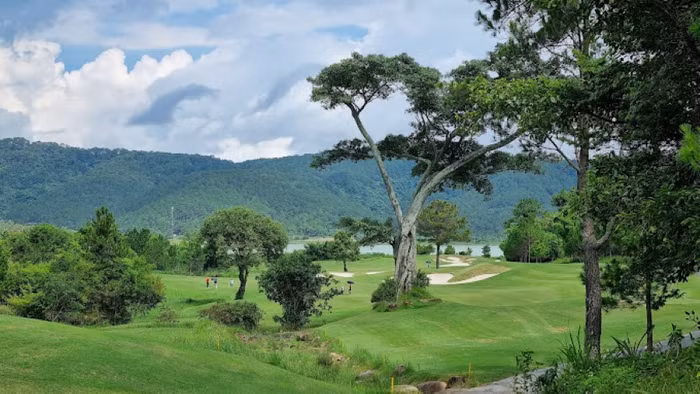 Vụ việc phá rừng làm sân golf The DaLat At 1.200 có dấu hiệu tội hủy hoại rừng