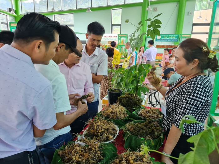 Lễ hội Sâm và Hương liệu, Dược liệu Quốc tế lần đầu tiên được tổ chức tại TP.HCM