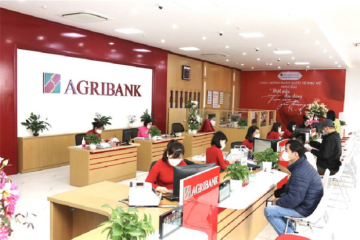 Agribank ồ ạt phát mãi loạt bất động sản tại TP.HCM với giá khởi điểm từ 100 triệu đến hơn 28 tỷ đồng