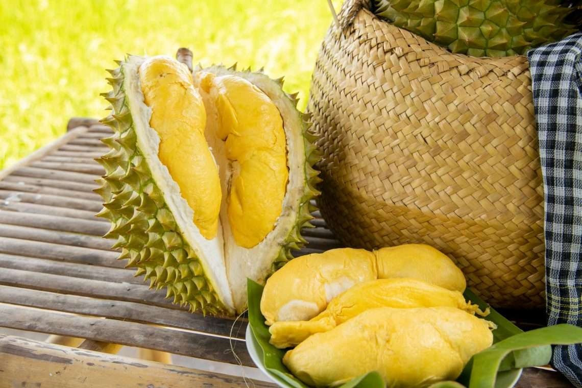 sauriengantoanlagi7dacdiemnoibatcuasauriengantoanhuynhlam-8225.jpg