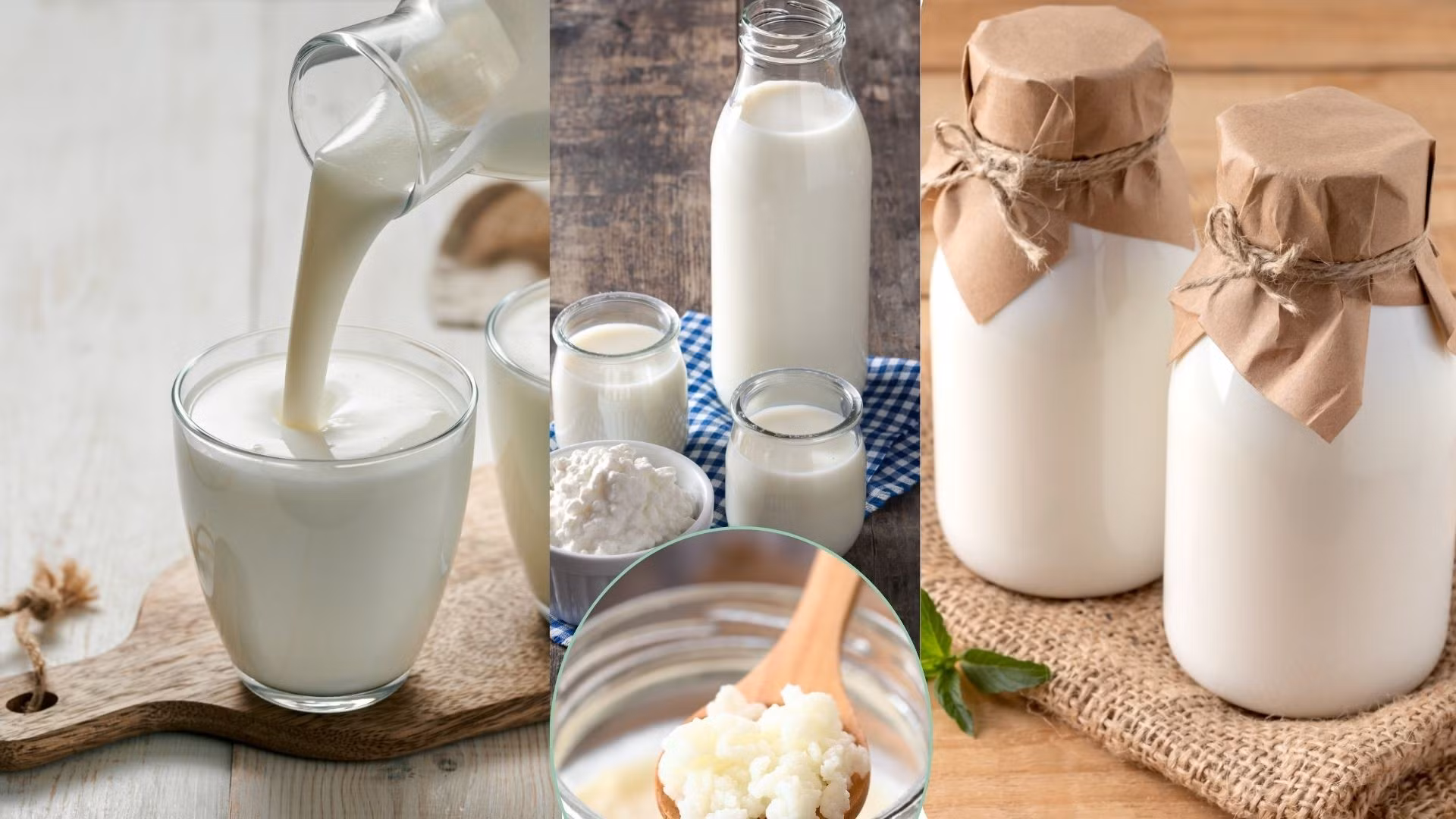 green-and-beige-modern-organic-probiotic-health-guide-kefir-presentation.jpg
