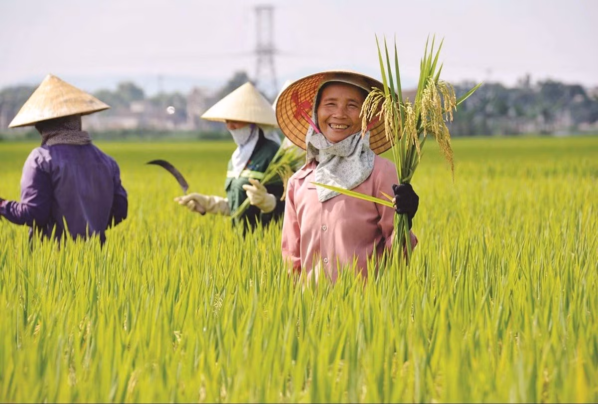 nguoi-nong-dan.jpg