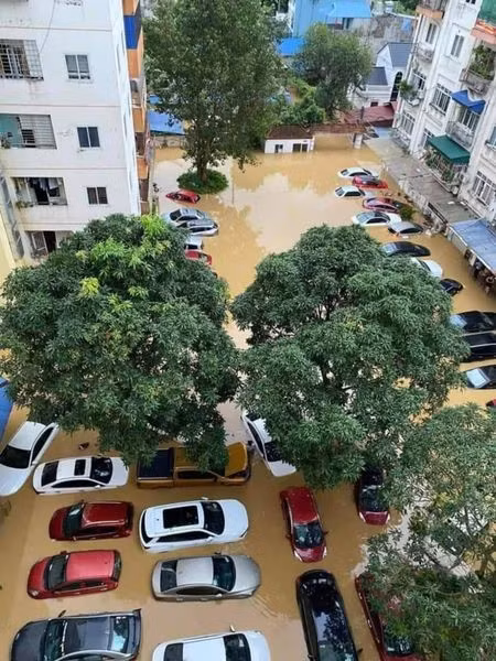 thái nguyên 1.jpg
