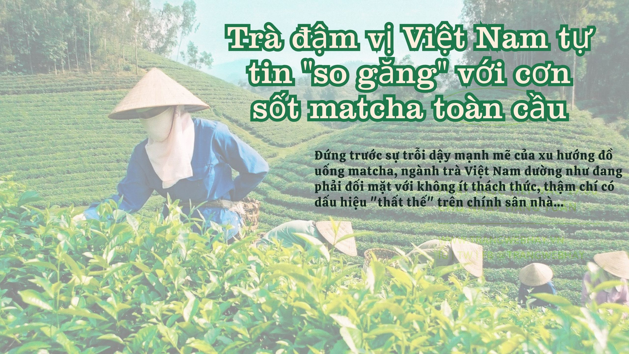 banner-youtube-phu-nu-nguoi-co-anh-huong-suc-khoe-phat-truc-tiep-xanh-la.jpg