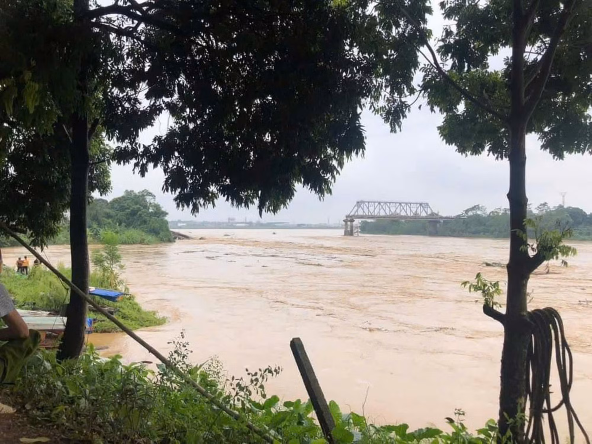 phú thọ 2.jpg