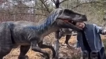 Nam du khách may mắn bị thương nhẹ khi “nghịch dại” thò đầu vào miệng khủng long