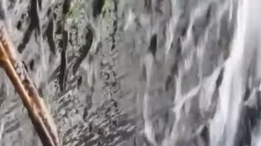 Du khách bàng hoàng khi chứng kiến hàng ngàn con cá leo lên thác nước thẳng đứng