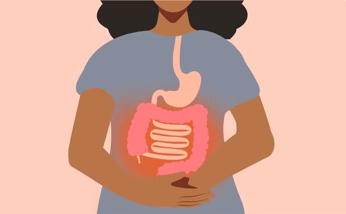 2025-oshi-sibo-diet-1.png