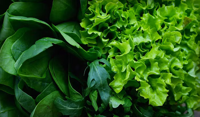 green-leafy.jpg