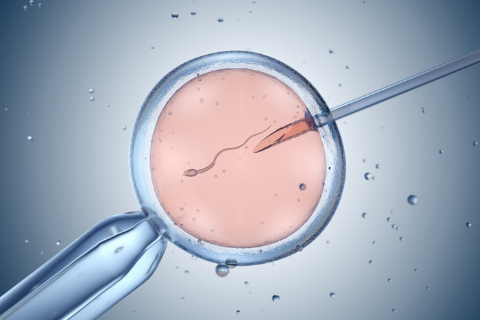 Phụ nữ độc thân tại Việt Nam có thể thực hiện IVF từ 1/10