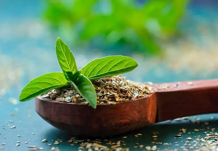 holy-basil-tulsi-1245095474-770x533-1-jpg.jpg