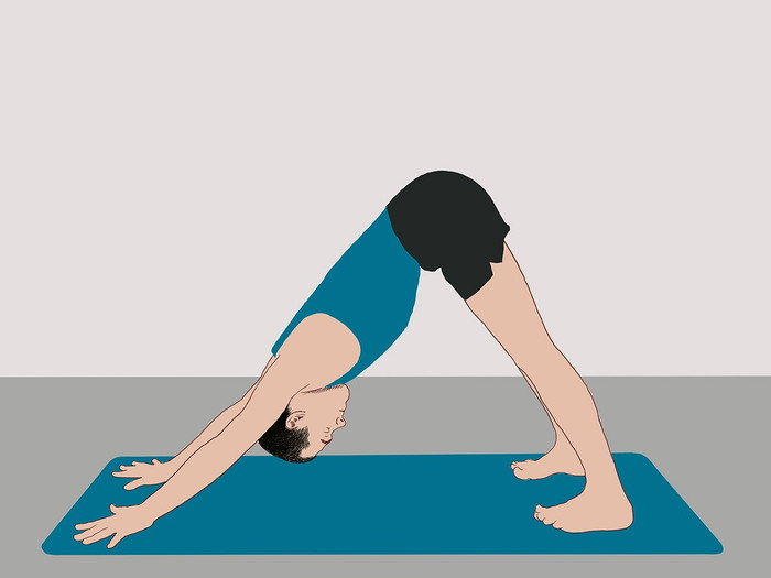 downward-facing-dog-pose-adho-mukha-svanasana.jpg