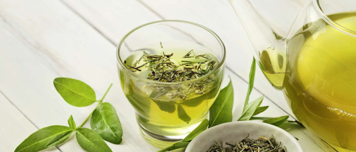 green-tea-for-beginners.jpg