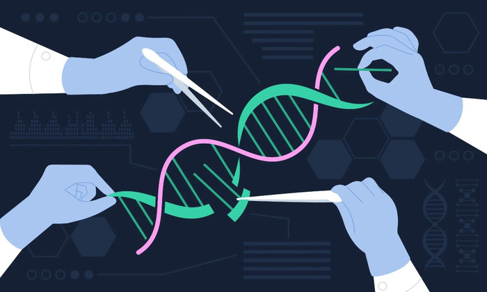 Công cụ chỉnh sửa gen CRISPR cho phép thay đổi DNA ở từng tế bào riêng lẻ (Ảnh minh họa) imageforarticle-25271-17261460419487577.jpg
