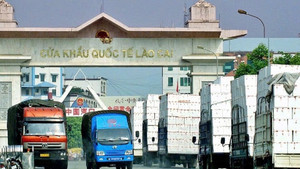 Bộ Nông nghiệp và Môi trường chủ động, khẩn trương triển khai các biện pháp tháo gỡ tình trạng ùn tắc nông sản tại cửa khẩu