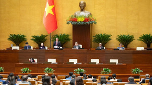 Từ 2026, hộ kinh doanh có doanh thu dưới 500 triệu đồng/năm không phải nộp thuế