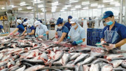 Thủy sản Việt Nam 2025: Xoay trục giữa biến động, lập kỷ lục xuất khẩu