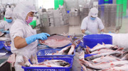 Mỹ siết kiểm soát thủy sản nhập khẩu: Tăng áp lực lên doanh nghiệp Việt