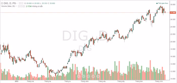 DIG.png
