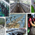 Tổng Bí thư Tô Lâm và tư duy lý luận mới về kinh tế tư nhân