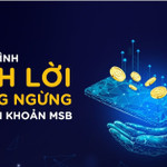 Trải nghiệm hành trình sinh lời không ngừng cùng tài khoản MSB