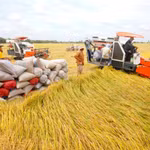 Đảm bảo an ninh lương thực là chìa khóa giúp ASEAN tăng trưởng kinh tế nhanh, bền vững