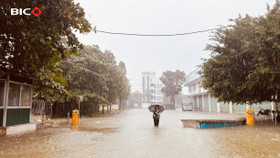 BIC tiếp cận hiện hiện trường tổn thất khi nước lũ còn chưa rút hoàn toàn