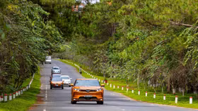 VinFast được vinh danh tại hạng mục quan trọng nhất của giải thưởng Hành động vì cộng đồng 2024