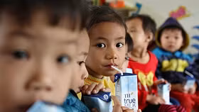 Với sữa tươi TH true MILK, chất lượng sản phẩm, chữ “thật”, được quan tâm hàng đầu