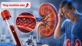 Tăng creatinin máu: Dấu hiệu cảnh báo chức năng thận suy giảm 