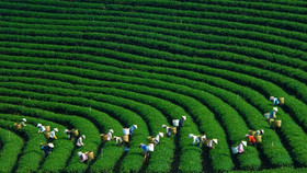 Doanh nghiệp Hàn Quốc quan tâm đến phát triển nông nghiệp xanh tại Việt Nam