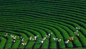 Doanh nghiệp Hàn Quốc quan tâm đến phát triển nông nghiệp xanh tại Việt Nam