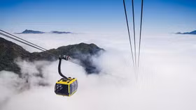 Cáp treo Fansipan Sa Pa ghi nhận các chỉ số tài chính tích cực năm 2025