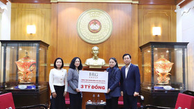 Bà Nguyễn Hoàng Yến, Phó Tổng Giám đốc Tập đoàn BRG đại diện trao tặng ủng hộ qua Ủy ban Trung ương Mặt trận Tổ quốc Việt Nam