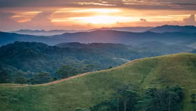 Con đường của những thương gia nguyên thủy