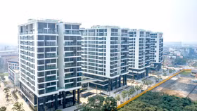 Sunshine Group livestream đặt giá căn hộ vào 1/7 chỉ với giá khởi điểm bằng 50% giá thị trường