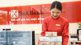 SeABank đạt lợi nhuận 5.856 tỷ đồng trong 6 tháng đầu năm 2025