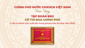 Tập đoàn BRG là tập đoàn kinh tế duy nhất của Hà Nội được trao tặng Cờ Thi đua Chính phủ năm 2024