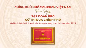 Tập đoàn BRG là tập đoàn kinh tế duy nhất của Hà Nội được trao tặng Cờ Thi đua Chính phủ năm 2024