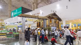 Hành trình xuyên Việt trong lòng VEC: 34 tỉnh, thành kể chuyện bằng sản vật tại Hội chợ Mùa thu lần thứ nhất 2025