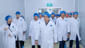 Thủ tướng trực tiếp kiểm tra hoạt động của Nhà máy chế biến thịt bò Tam Đảo