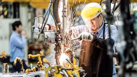 Kinh tế tư nhân: Cây đã được tưới nhưng đất vẫn còn cằn 