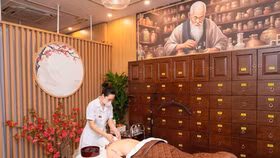 Senjin Medical Clinic: Chuẩn mực mới trong trị liệu y học cổ truyền cao cấp