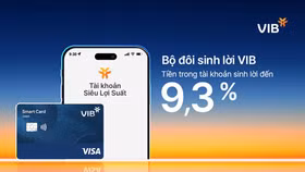 Bộ đôi Sinh lời VIB: Giải pháp tài chính tối ưu dòng tiền đến 9,3%
