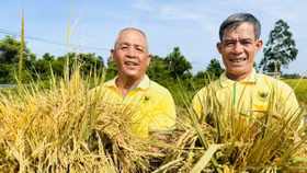 Bình Điền: Hành trình hơn nửa thế kỷ phụng sự nông dân và tầm nhìn tiên phong xanh hóa - số hóa